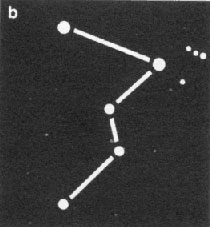 Cassiopeia