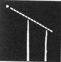 Apparent Movement of a star