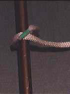 Clove Hitch