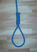 Hangman's Noose