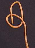 Overhand Knot