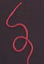 Overhand Knot