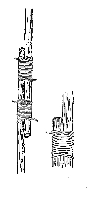 Shear Lashing