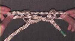 Sheepshank