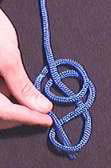 Stevedore Knot